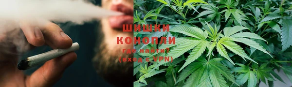 прущие крисы Беломорск