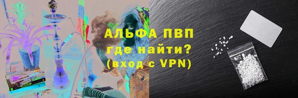 спиды Белокуриха