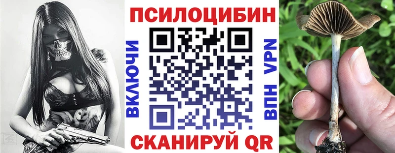 наркошоп  Верхотурье  Псилоцибиновые грибы мицелий 